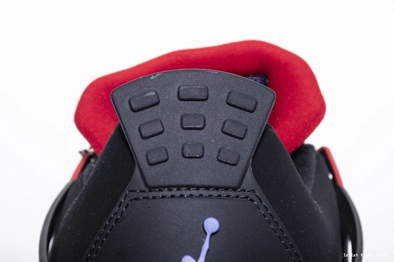 Jordan AQ3816-056 4 Air Raptors 0104